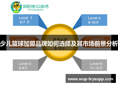 少儿篮球加盟品牌如何选择及其市场前景分析