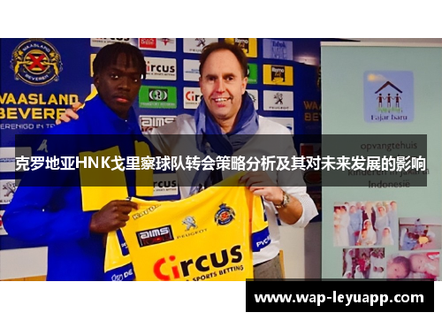 克罗地亚HNK戈里察球队转会策略分析及其对未来发展的影响