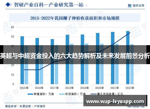 英超与中超资金投入的六大趋势解析及未来发展前景分析 英超与中超资金投入的六大趋势解析及未来发展前景分析