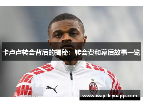 卡卢卢转会背后的揭秘：转会费和幕后故事一览