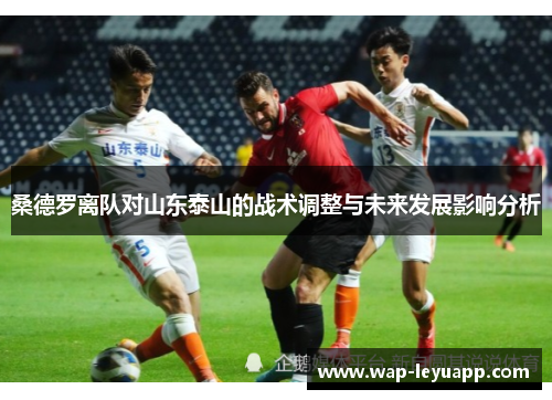 桑德罗离队对山东泰山的战术调整与未来发展影响分析 桑德罗离队对山东泰山的战术调整与未来发展影响分析