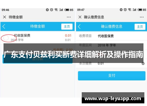 广东支付贝兹利买断费详细解析及操作指南