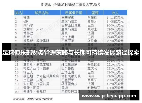 足球俱乐部财务管理策略与长期可持续发展路径探索