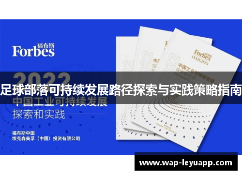 足球部落可持续发展路径探索与实践策略指南