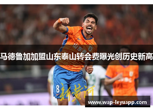 马德鲁加加盟山东泰山转会费曝光创历史新高 马德鲁加加盟山东泰山转会费曝光创历史新高