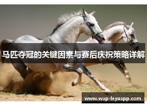 马匹夺冠的关键因素与赛后庆祝策略详解
