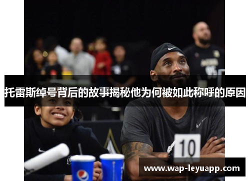 托雷斯绰号背后的故事揭秘他为何被如此称呼的原因 托雷斯绰号背后的故事揭秘他为何被如此称呼的原因