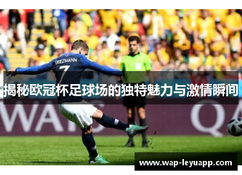 揭秘欧冠杯足球场的独特魅力与激情瞬间