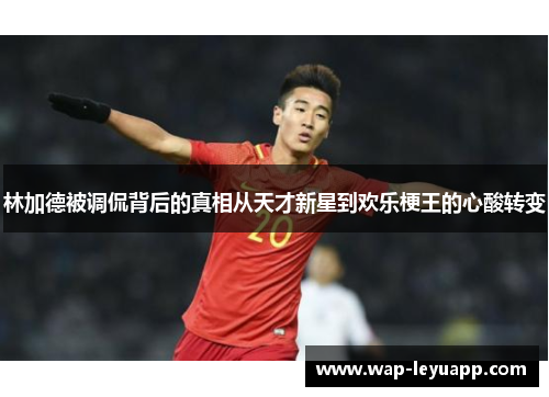 林加德被调侃背后的真相从天才新星到欢乐梗王的心酸转变